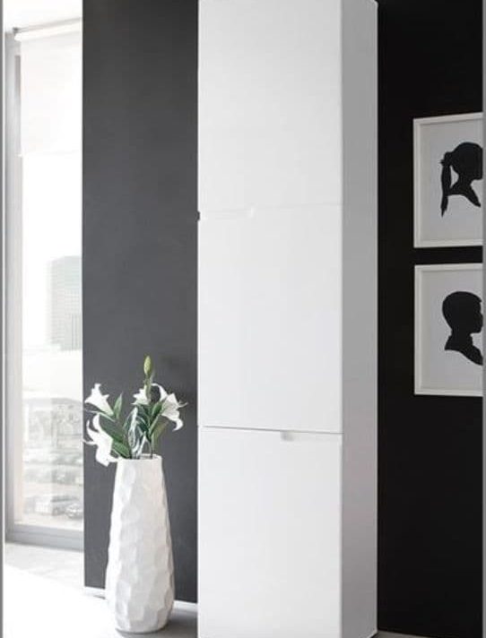 Jupiter Bookcase with Gloss Doors